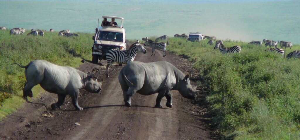 The Magic Of Ngoro-ngoro Crater during Tanzania Classic safari