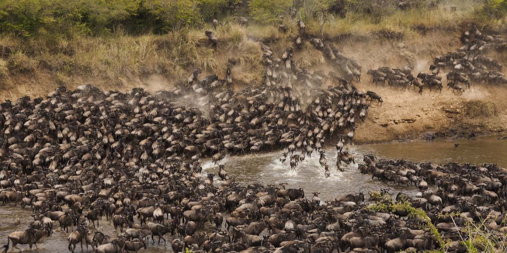 Serengeti National Park Tanzania, For Great Migration