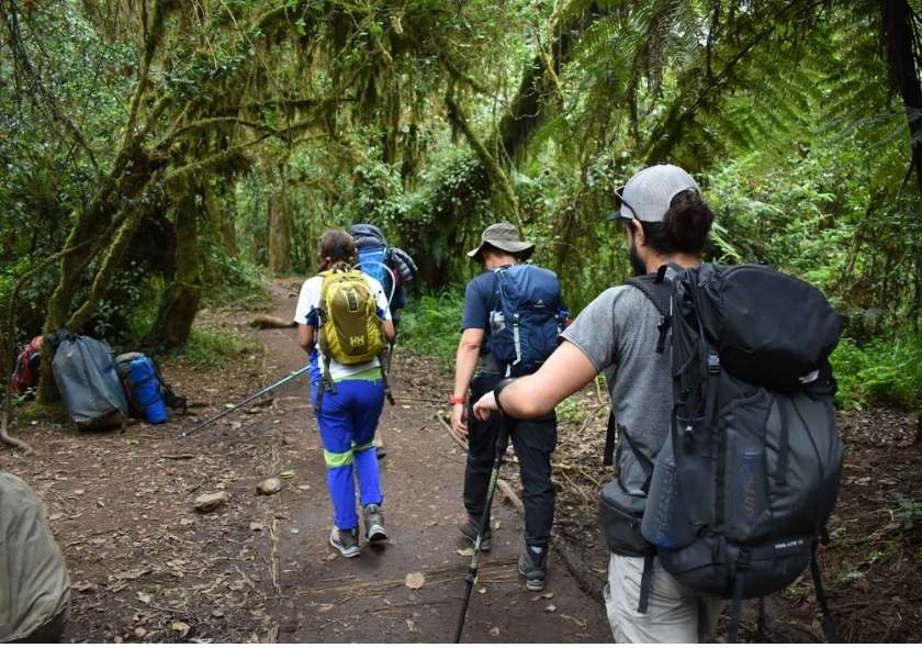 Trekkers Climbing Mount Kilimanjaro Through machame route