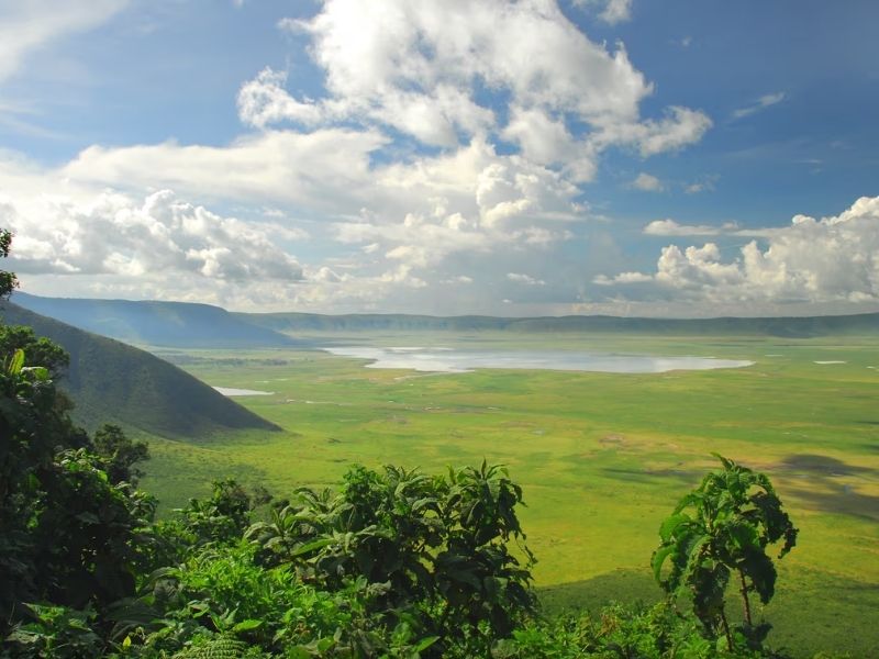 Why the Ngorongoro Conservation Area Should Top Your Travel List